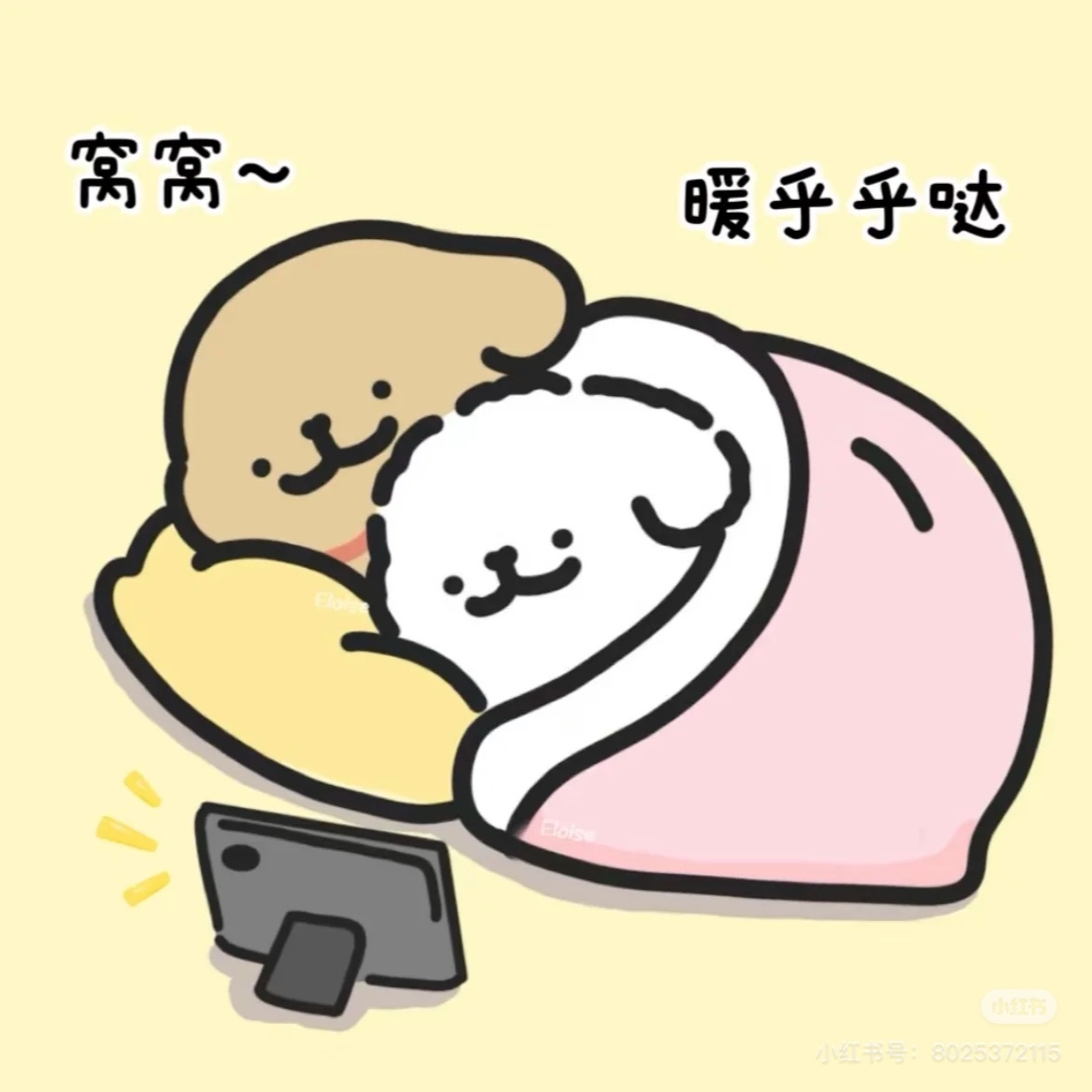 狗窝